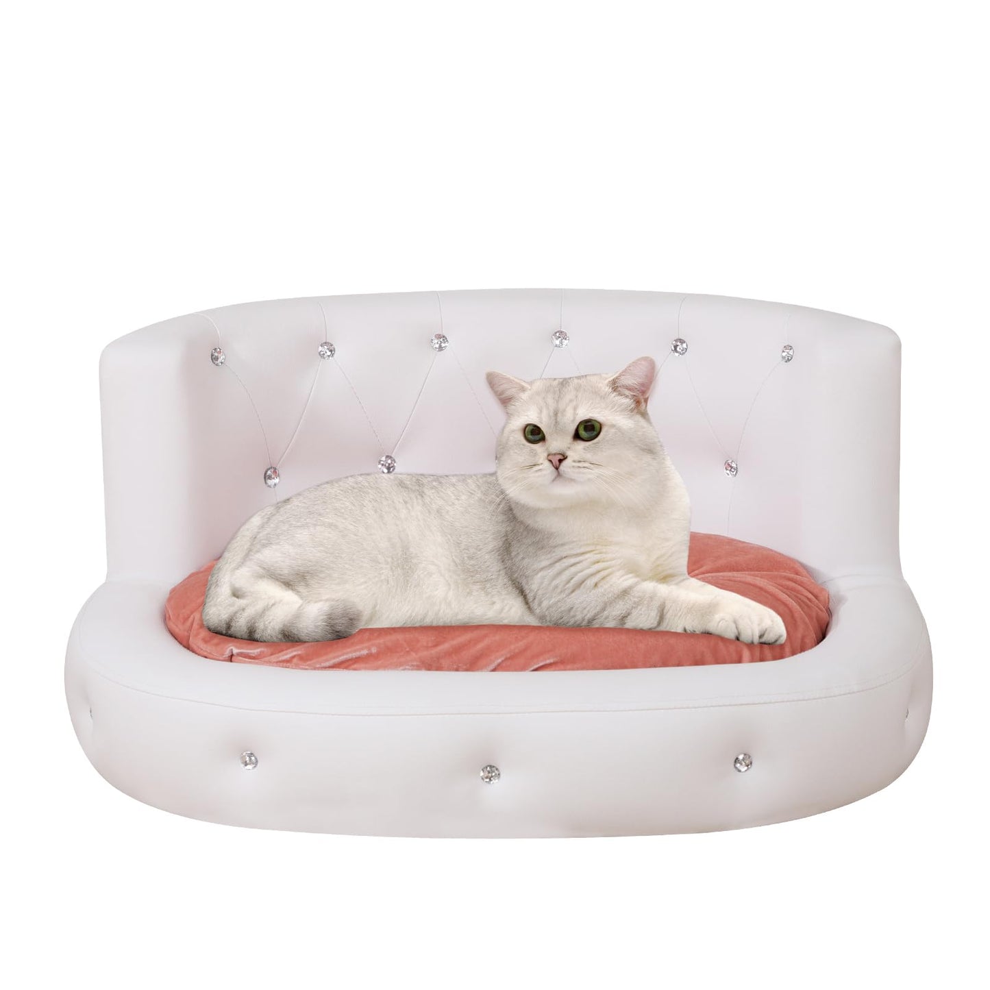 Modern Pet Sofa