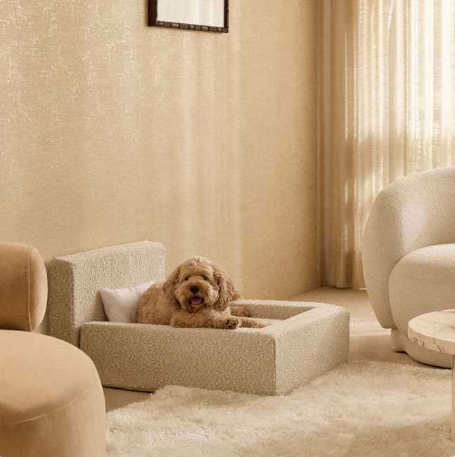 Modern Kennel Pet Dog Bed