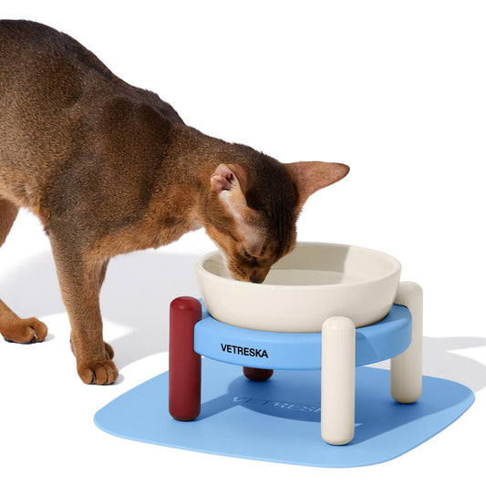 VETRESKA Ceramic Pet Bowl