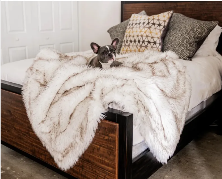 Posh Pet Blanket