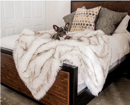 Posh Pet Blanket