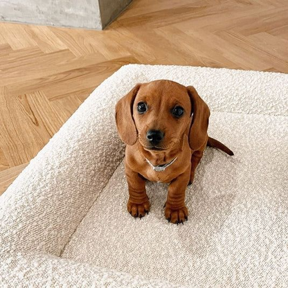 Dog Sofa Bed