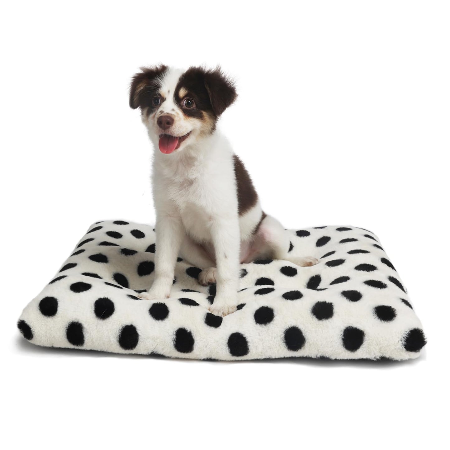 Pola Dot Dog Bed
