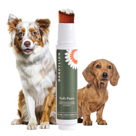 Dandylion Soft Paws | Paw Lotion